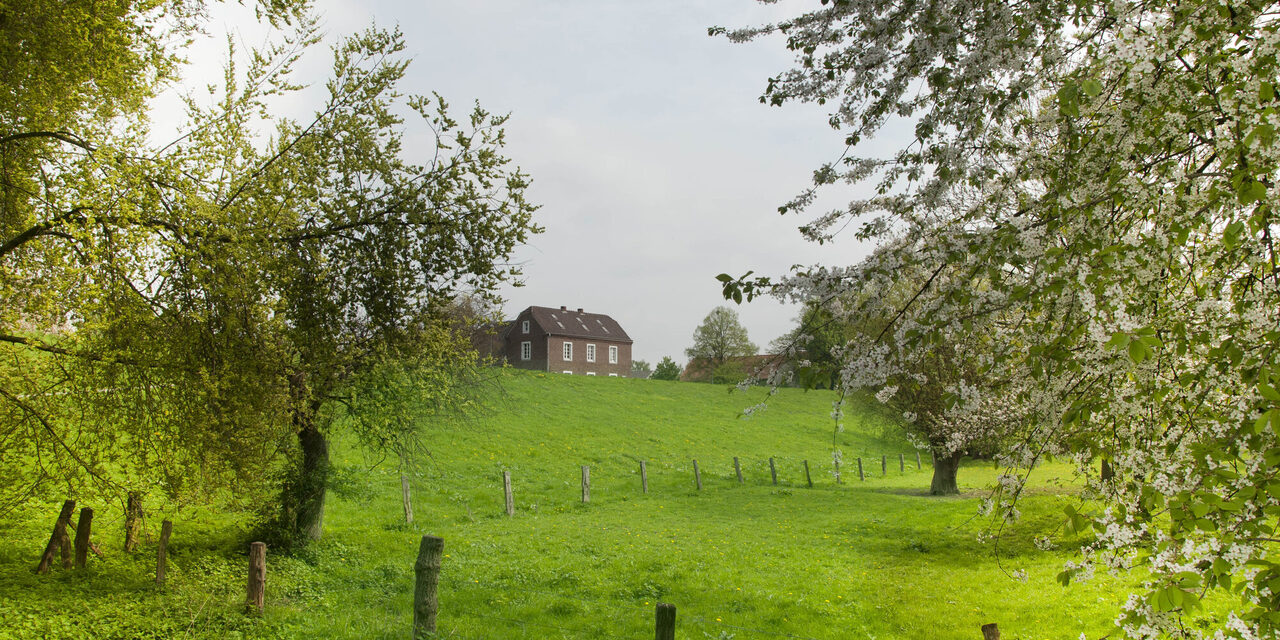 Deich - Rheinaue Friemersheim