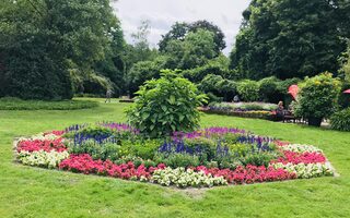 Jubiläumshain - Park mit schönen Blumen