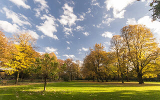 Herbstbäume im Stadtpark Meiderich