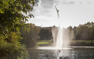 Wasserfontäne in einem See im Volkspark Rheinhausen