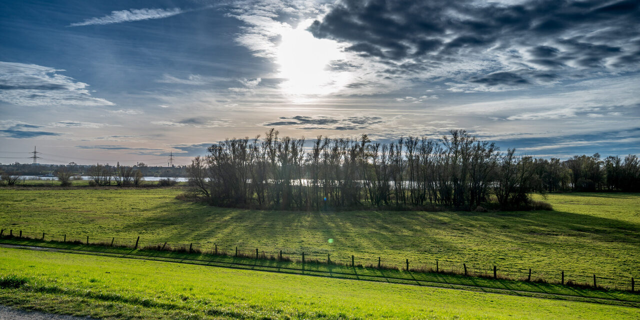 Walsumer Rheinaue
