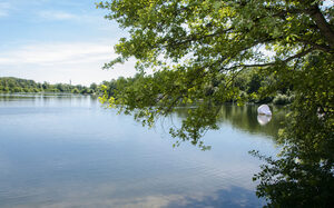 See im Sonnenschein mit ins Bild ragendem Baum
